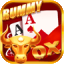 fun rummy