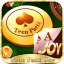 teen patti net
